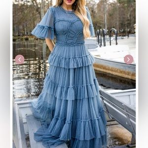 NWT ivy city whimsical dress